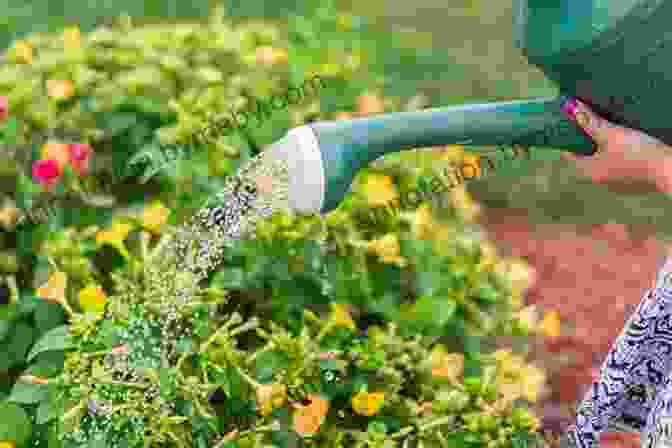 A Gardener Watering Plants In A Garden. Encyclopedia Of Landscape Design: Planning Building And Planting Your Perfect Outdoor Space