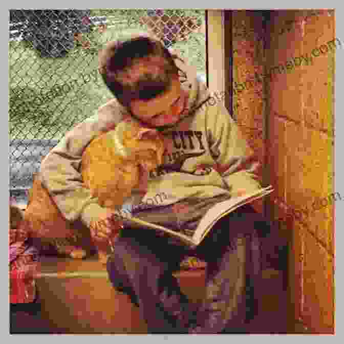 A Man Reading A Book To His Cat Paw Prints At Owl Cottage: The Heartwarming True Story Of One Man And His Cats