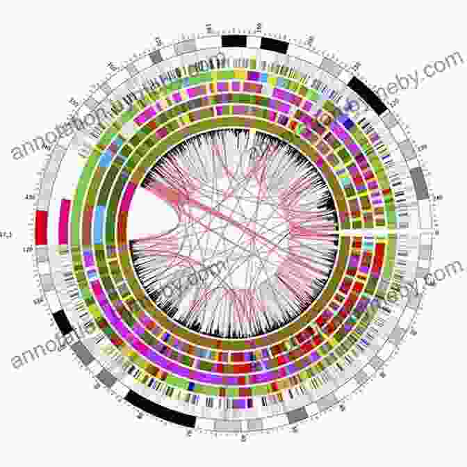 A Map Of The Human Genome The Story Of Evolution In 25 Discoveries: The Evidence And The People Who Found It