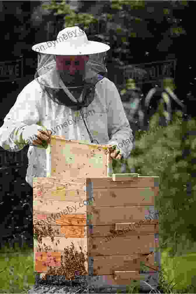 A Photo Of A Beekeeper Examining A Bee Hive Using A Microscope Practical Microscopy For Beekeepers Don Harris