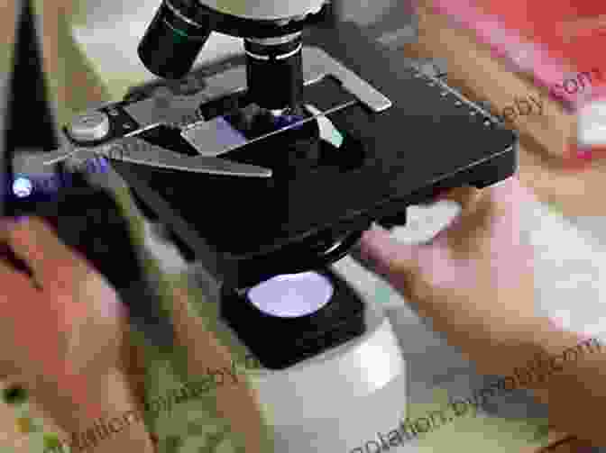 A Photo Of A Beekeeper Using A High Powered Microscope For Advanced Analysis Practical Microscopy For Beekeepers Don Harris