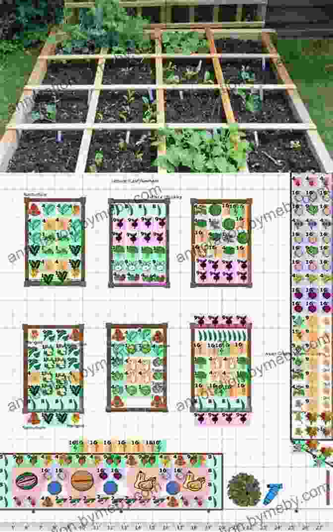 A Square Foot Gardening Plot With Rows Of Vegetables All New Square Foot Gardening 3rd Edition Fully Updated: MORE Projects NEW Solutions GROW Vegetables Anywhere