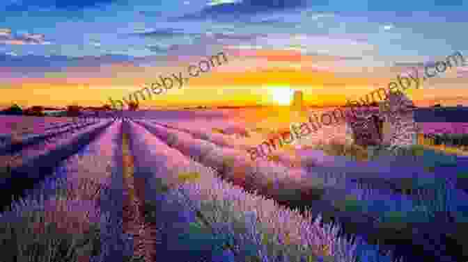 A Stunning Sunset Over A Lavender Field In Provence, France DK Eyewitness Road Trips France (Travel Guide)