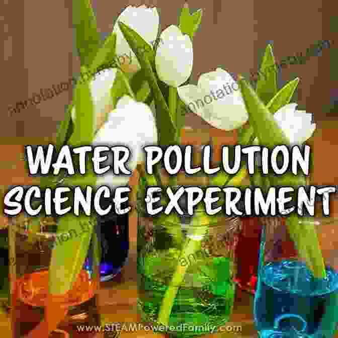 A Teacher Leading A Science Experiment On Water Pollution Environmental And Sustainability Education In Teacher Education: Canadian Perspectives (International Explorations In Outdoor And Environmental Education)