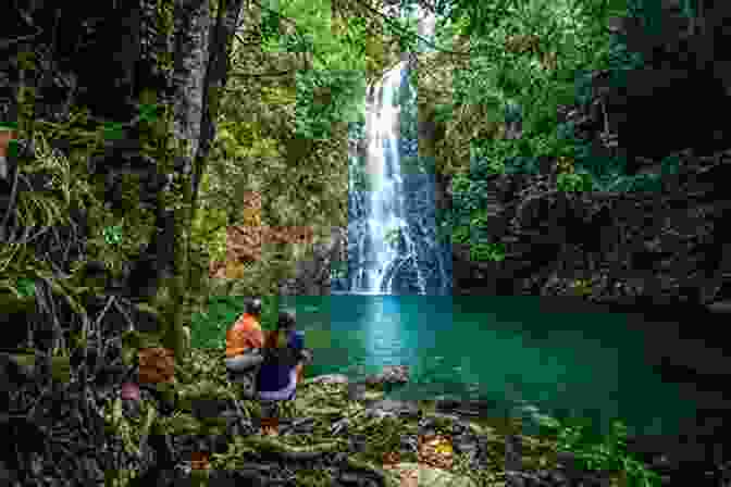 A Vibrant Rainforest In Belize Frommer S Belize (Complete Guides) DK Eyewitness