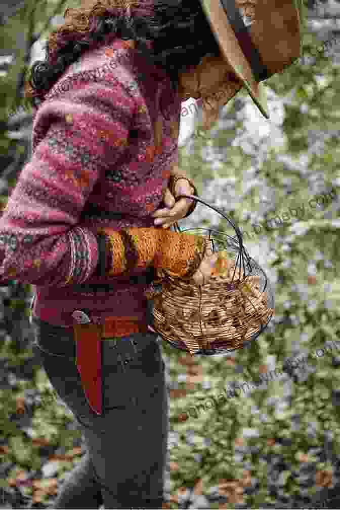 A Woman Foraging Mushrooms In The Forest The Forest Feast Road Trip: Simple Vegetarian Recipes Inspired By My Travels Through California