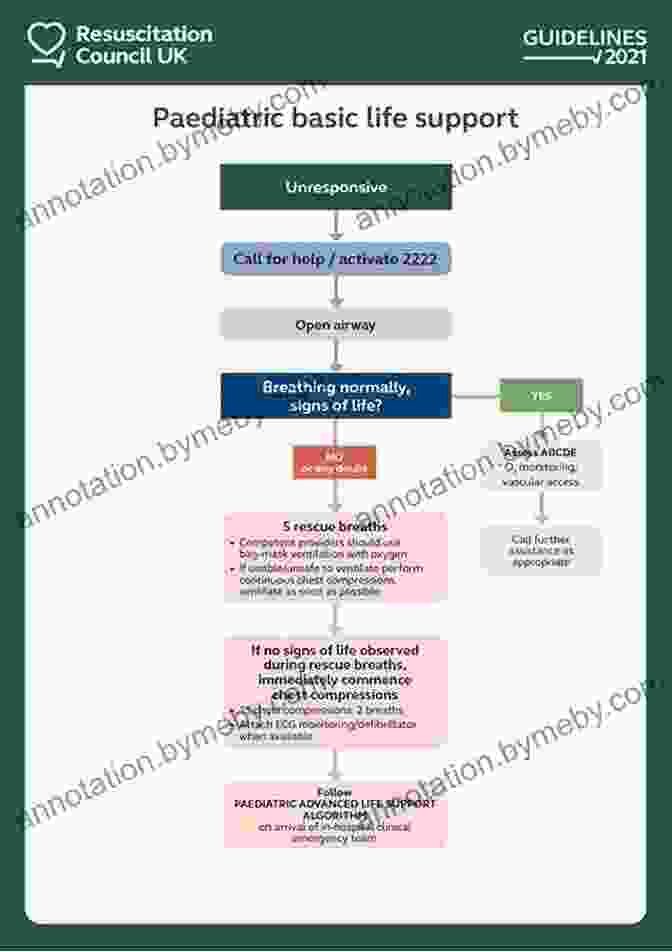 Adult And Paediatric Basic Life Support: The Ultimate Guide To Saving Lives Adult And Paediatric Basic Life Support: Basic Survival Guide