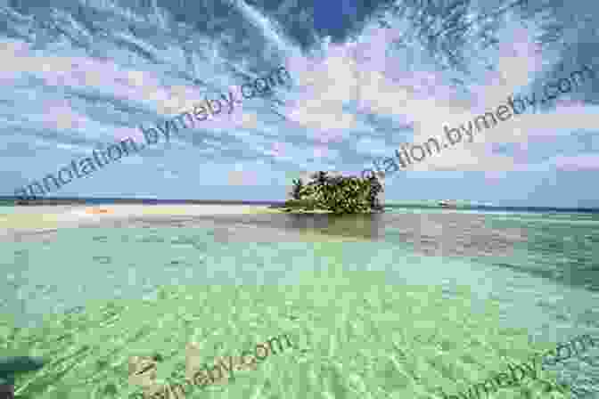 Aerial View Of A Pristine Beach In Belize Frommer S Belize (Complete Guides) DK Eyewitness