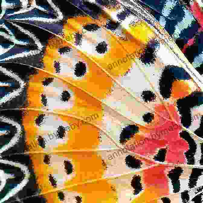 An Intricate And Colorful Butterfly Wing, Representing The Interconnectedness And Beauty Of The Universe The Fallen Stones: Chasing Butterflies Discovering Mayan Secrets And Looking For Hope Along The Way