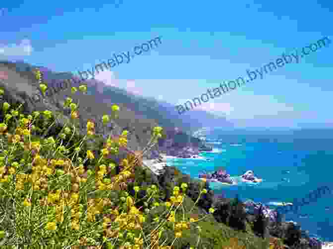 Big Sur Coastline, California DK Eyewitness California (Travel Guide)