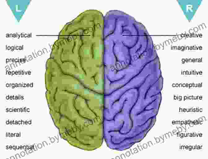 Bridge Between The Left And Right Hemispheres Of The Brain. Tales From Both Sides Of The Brain: A Life In Neuroscience