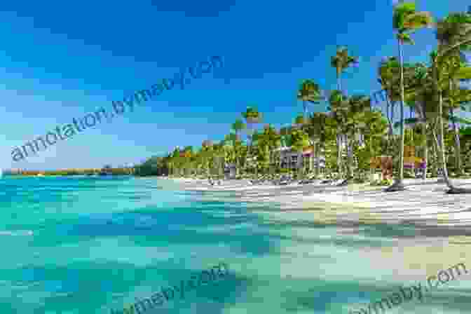 Cancun Skyline With Turquoise Waters And Palm Trees Yucatan Cancun Isla Mujeres Isla Holbox