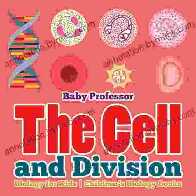 Cell Division The Biology Book The Biology Book: Big Ideas Simply Explained