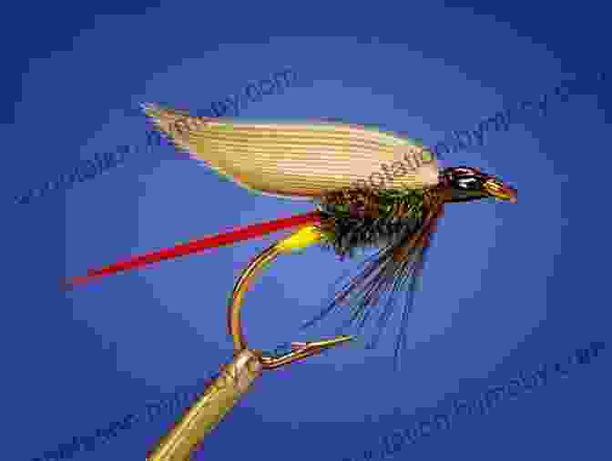 Close Up Of A Meticulously Tied Wet Fly With Intricate Details Wet Flies: Fishing (Solution Book)