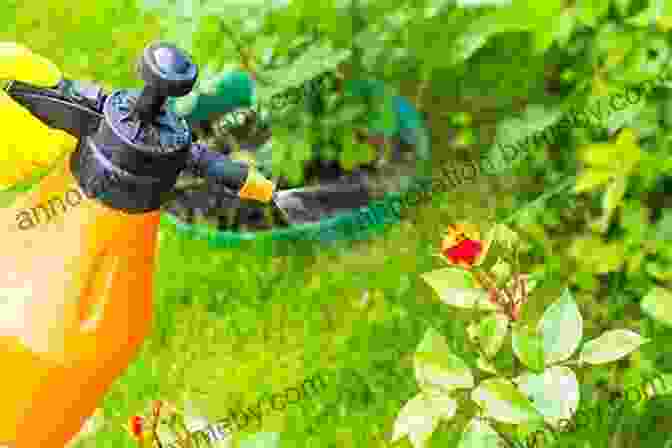 Controlling Pests In The Garden Beginner S Guide To Gardening Diane Capri