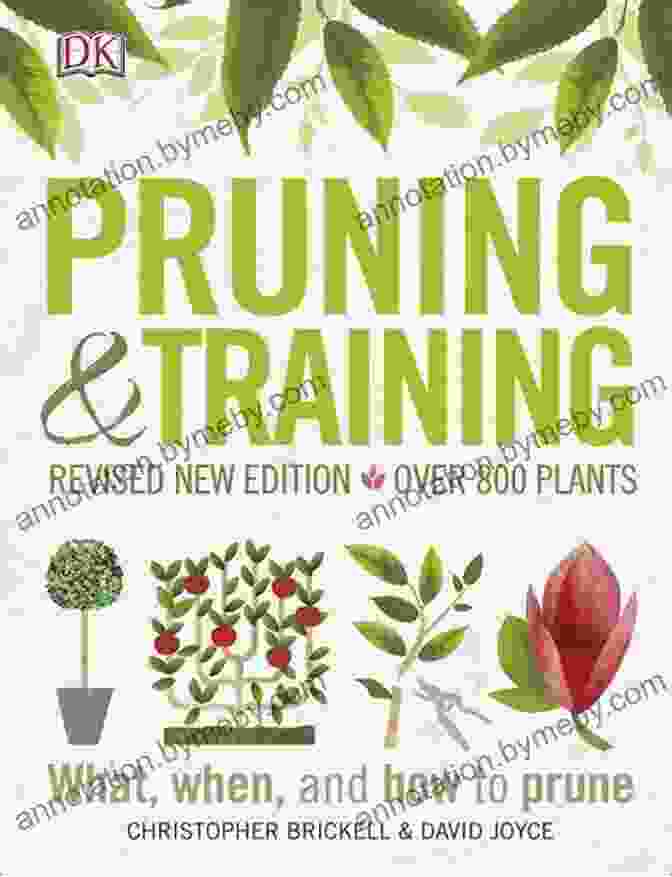 Cover Of The Book 'Pruning And Training DK' Displaying Various Pruning And Training Techniques Pruning And Training DK