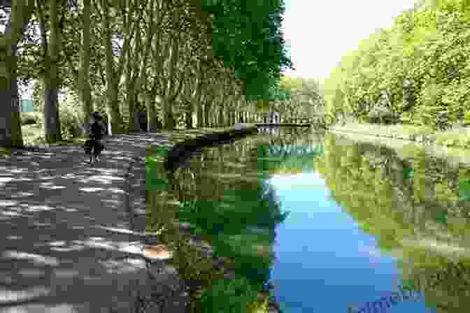 Cyclist Riding Along The Canal Du Midi Cycling The Canal De La Garonne: From Bordeaux To Toulouse (Cicerone Cycling Guides)