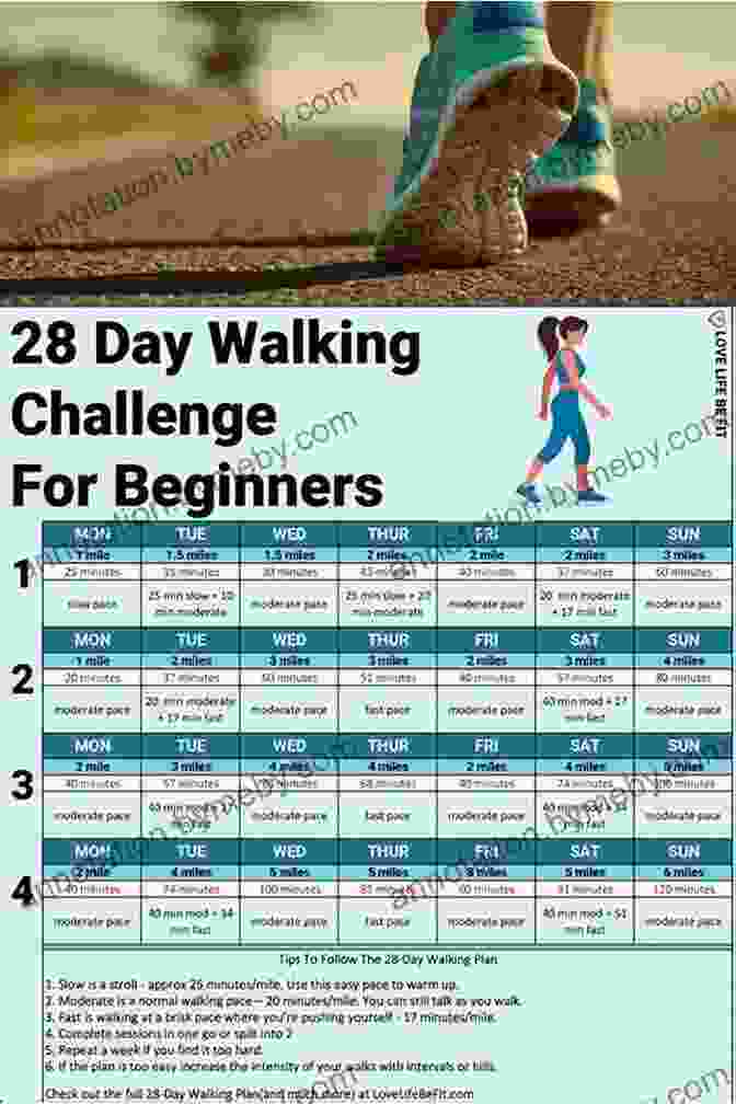 Diary to Lose Weight Walking in 90 Days Annotated