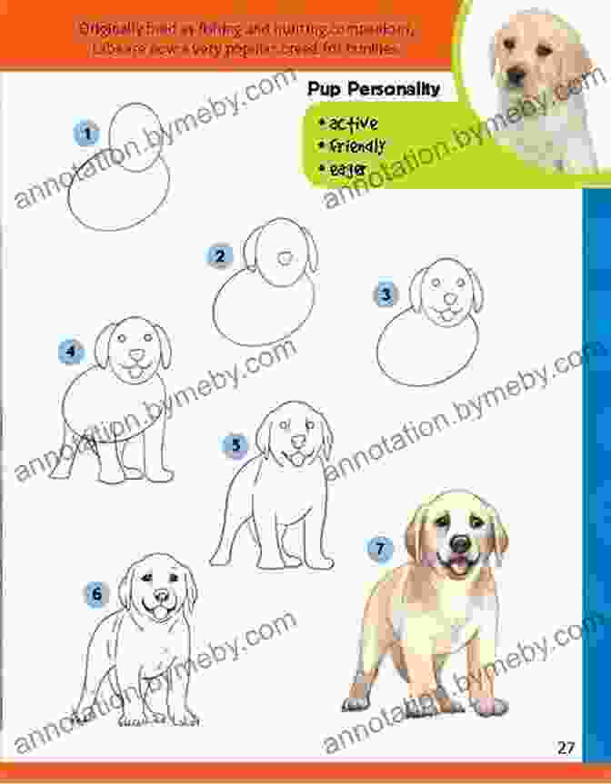 Drawing Running Dogs How To Draw Dogs Puppies: Step By Step Instructions For 25 Different Dog Breeds (Learn To Draw)