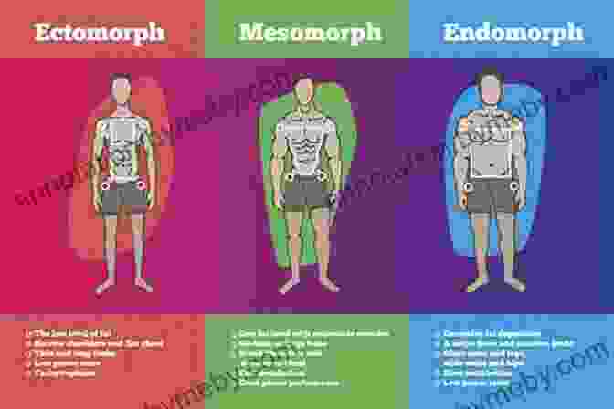 Ectomorph Supplements The Skinny Warrior: An Effective And Honest Guide To Gaining Muscle For Ectomorphs