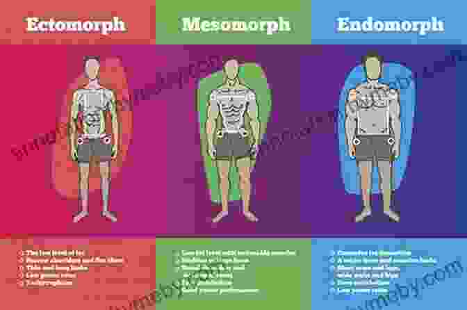 Ectomorph Training The Skinny Warrior: An Effective And Honest Guide To Gaining Muscle For Ectomorphs