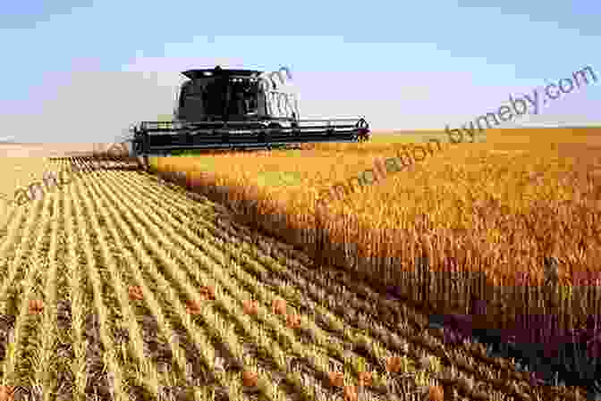 Farmers Harvesting Wheat In A Field. Rupert S Tales: The Wheel Of The Year Beltane Litha Lammas And Mabon (Rupert S Tales)