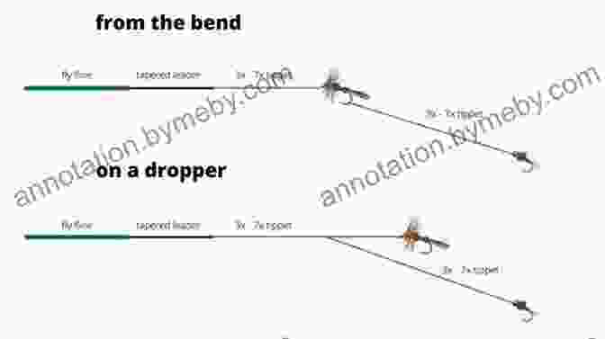 Fly Fisher Using A Dry Dropper Rig, Maximizing The Chances Of Enticing Fish At Different Water Depths Wet Flies: Fishing (Solution Book)