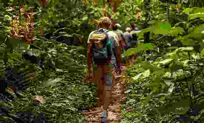 Group Of Travelers Hiking In A Rainforest TewOhJuanAte: A 28 Day Blog Through Central America