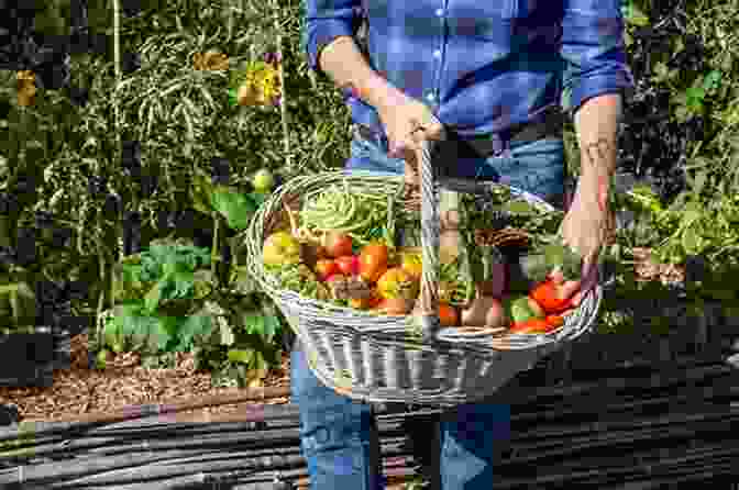 Harvesting Vegetables From The Garden Beginner S Guide To Gardening Diane Capri