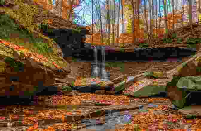 Hiker Enjoying The Scenic Beauty Of Cuyahoga Valley National Park With Vibrant Autumn Foliage 60 Hikes Within 60 Miles: Cleveland: Including Akron And Canton