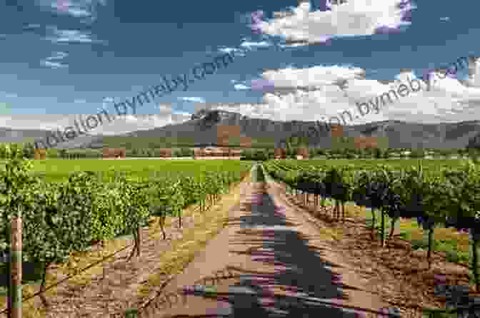 Hunter Valley Vineyards AUSTRALIA TRAVEL: ULTIMATE GUIDE BEST OF SYDNEY AND SURROUNDS