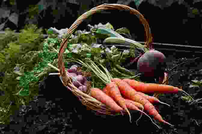 Image Of A Gardener Harvesting Ripe Vegetables Vegetable Gardening For Beginners Jason Wallace