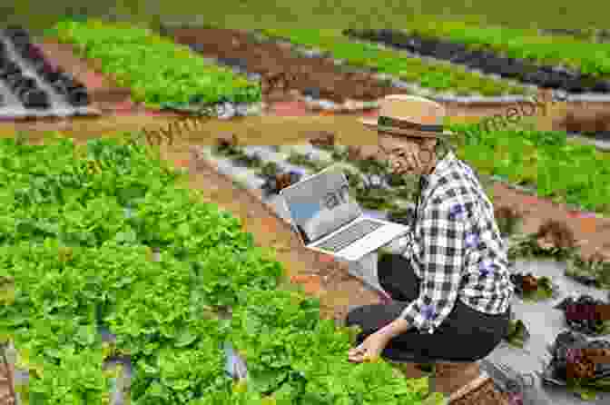 Image Of A Gardener Inspecting A Vegetable Plant For Pests Vegetable Gardening For Beginners Jason Wallace