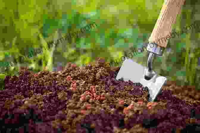 Image Of A Gardener Preparing Soil For Planting Vegetable Gardening For Beginners Jason Wallace