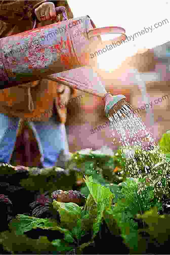 Image Of A Gardener Watering A Vegetable Garden Vegetable Gardening For Beginners Jason Wallace