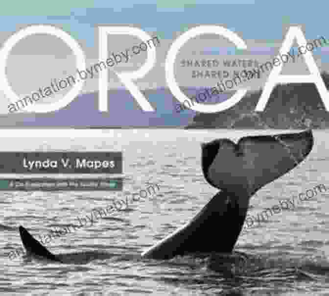 Lucky Mountain Orca Book Cover Featuring Lily And Lucky The Orca Swimming In The Ocean Lucky S Mountain (Orca Young Readers)