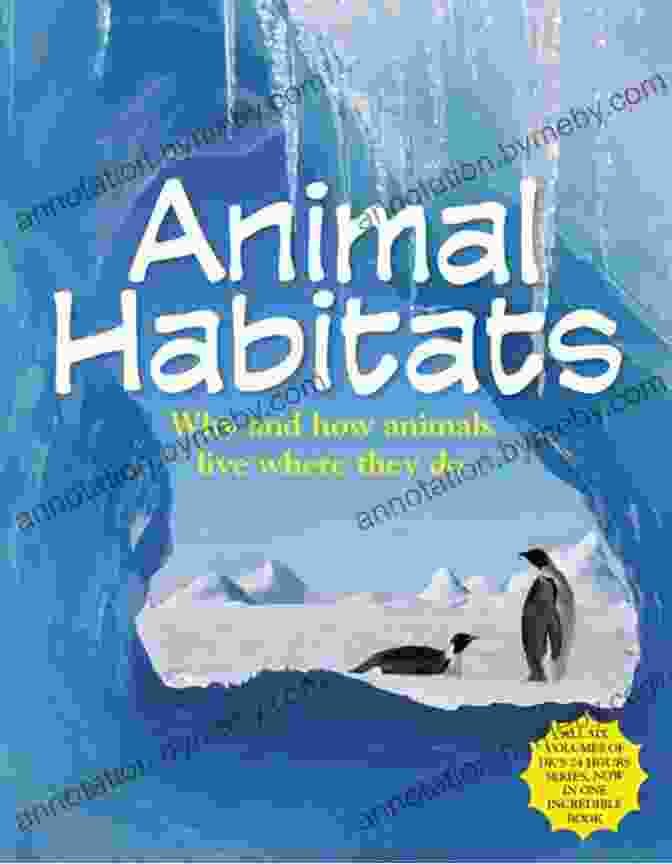 No Bugs Here: Let's Look At Animal Habitats Book Cover No Bugs Here (Let S Look At Animal Habitats (Pull Ahead Readers Fiction))