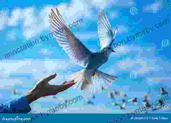 Person Releasing A Bird Into The Sky Seven Keys To A Peaceful Passing: A Hospice Nurse S Step By Step Guide To Hospice