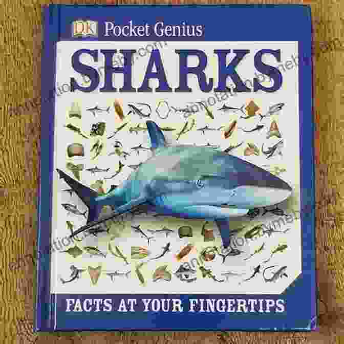 Pocket Genius Sharks Facts At Your Fingertips Cover Pocket Genius: Sharks: Facts At Your Fingertips