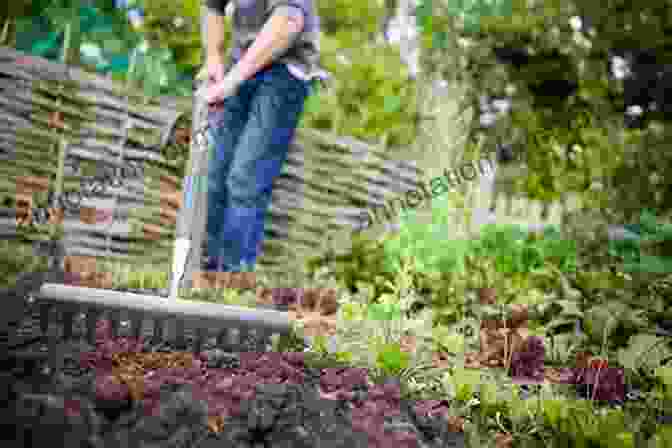 Preparing The Soil For Gardening Beginner S Guide To Gardening Diane Capri