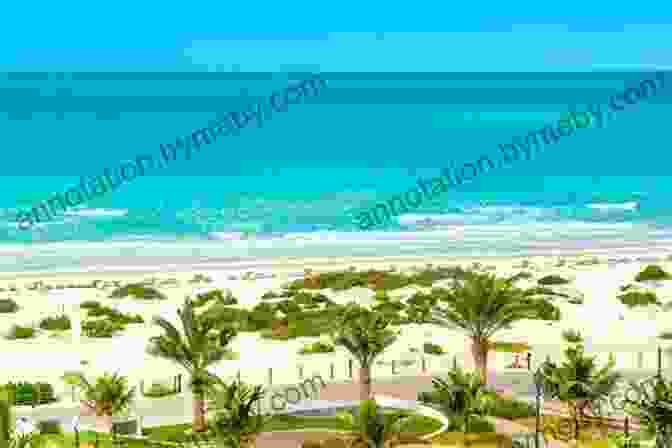 Saadiyat Beach In Abu Dhabi, A Pristine Beach With Soft White Sand DK Eyewitness Top 10 Dubai And Abu Dhabi (Pocket Travel Guide)