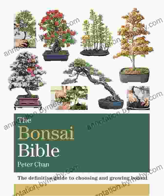 The Bonsai Community The Bonsai Bible: The Definitive Guide To Choosing And Growing Bonsai