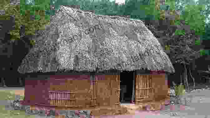 Traditional Mayan Birth Hut Our Births Our Stories: Inspirational Home Births From Communities Around The World