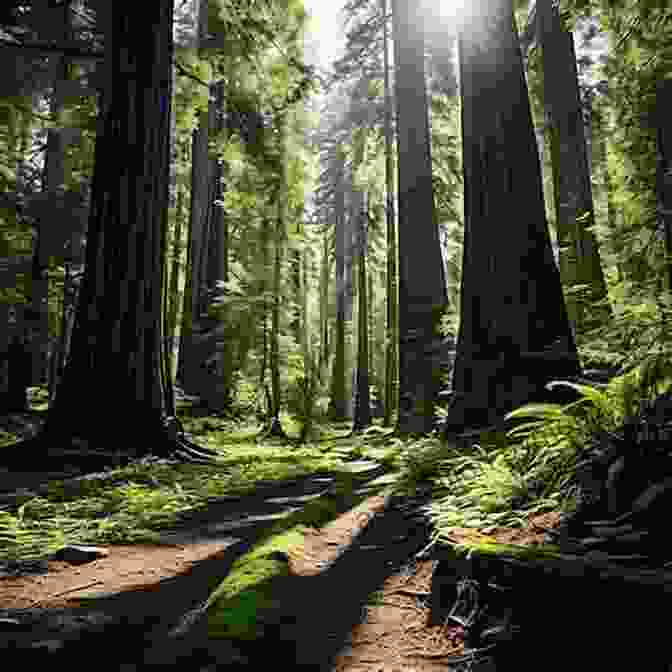 Tranquil Redwood Bend, With Its Towering Trees And Serene River Redwood Bend (Virgin River 18)