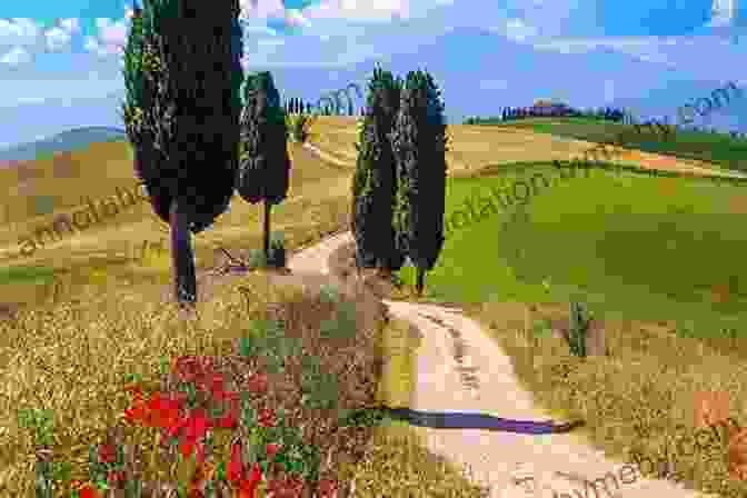 Vineyards Stretching Out Alongside A Tuscan Hilltop Town DK Eyewitness Top 10 Florence And Tuscany (Pocket Travel Guide)