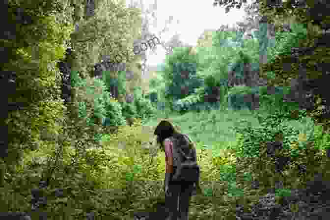 Woman Exploring A Dense Jungle, Symbolizing Adventure And Discovery Botanist Naturalist And Adventurer: My Life And Times