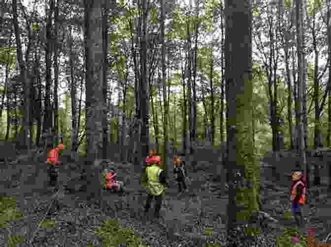 Woodland Conservation In Ireland Wildwoods: The Magic Of Ireland S Native Woodlands