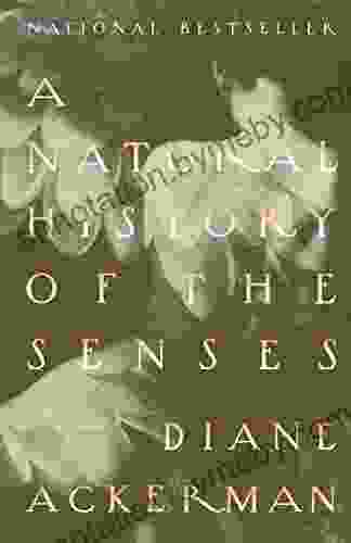 A Natural History Of The Senses