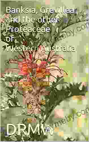 Banksia Grevillea and the other Proteaceae of Western Australia