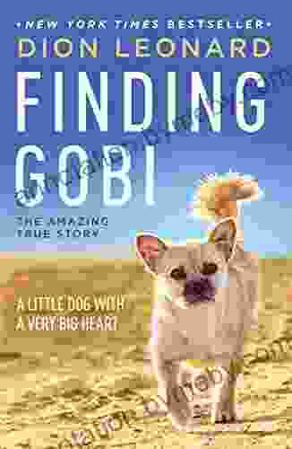 Finding Gobi: A Little Dog With A Very Big Heart